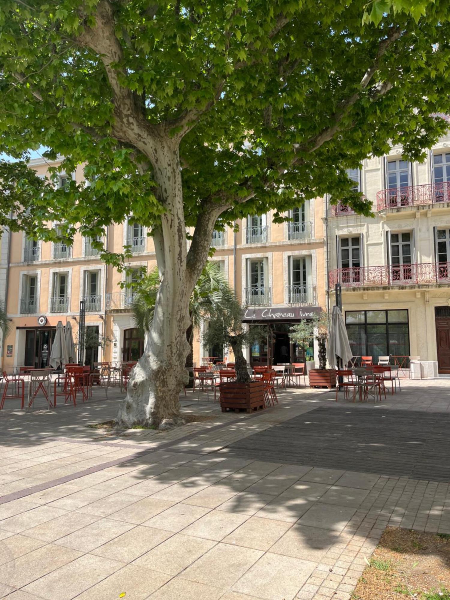 Joli Appartement Hypercentre T2, Classe Meuble De Tourisme 3 Avec Parking Gratuit Béziers Zewnętrze zdjęcie